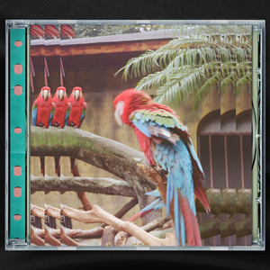 free兰州女人性霹脸HD
