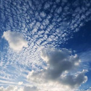 free兰州女人性霹脸HD
